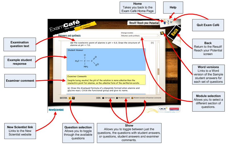 Sample Student Answers Screen