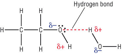 Acetone Water Hydrogen Bonding Lewis Structure 88